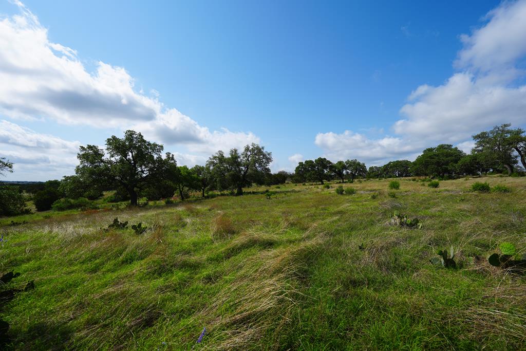 Lot 65 S Walcott Ridges Drive Kerrville TX 78028