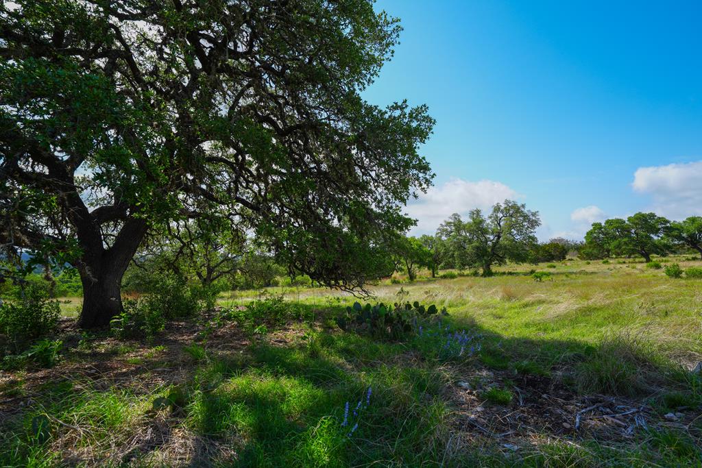 Lot 65 S Walcott Ridges Drive Kerrville TX 78028