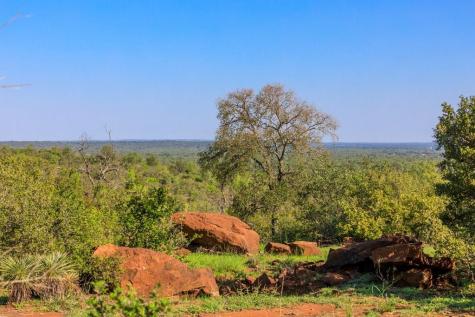 Lot 5 Art Hedwigs Hill Road Mason TX 76856