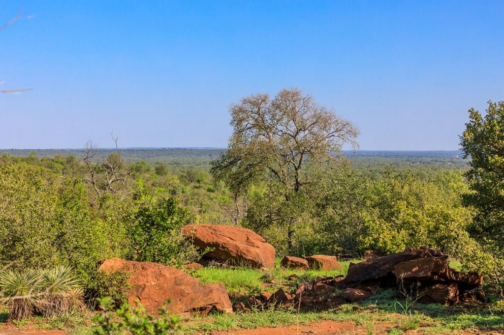 Lot 5 Art Hedwigs Hill Road Mason TX 76856