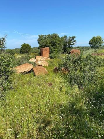 Lot 5 Art Hedwigs Hill Road Mason TX 76856