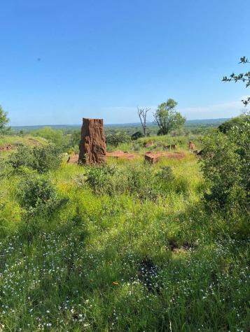Lot 5 Art Hedwigs Hill Road Mason TX 76856