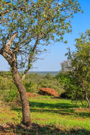 Lot 5 Art Hedwigs Hill Road Mason TX 76856
