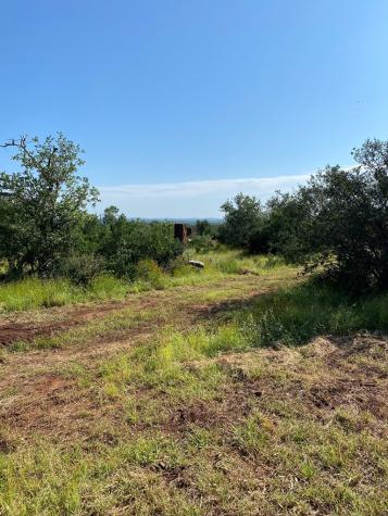 Lot 5 Art Hedwigs Hill Road Mason TX 76856