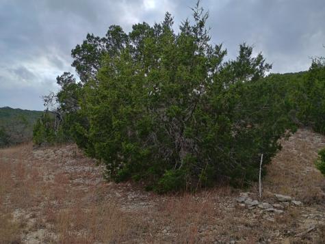 Lot 83 Montana Springs Drive Marble Falls TX 78654