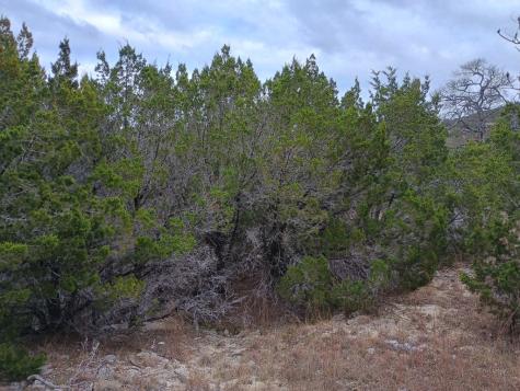 Lot 83 Montana Springs Drive Marble Falls TX 78654
