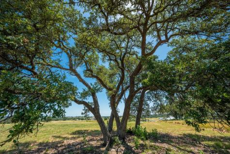 143 Agrihood Drive Fredericksburg TX 78624