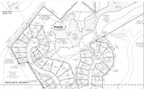 305 Interlaken Street Fredericksburg TX 78624