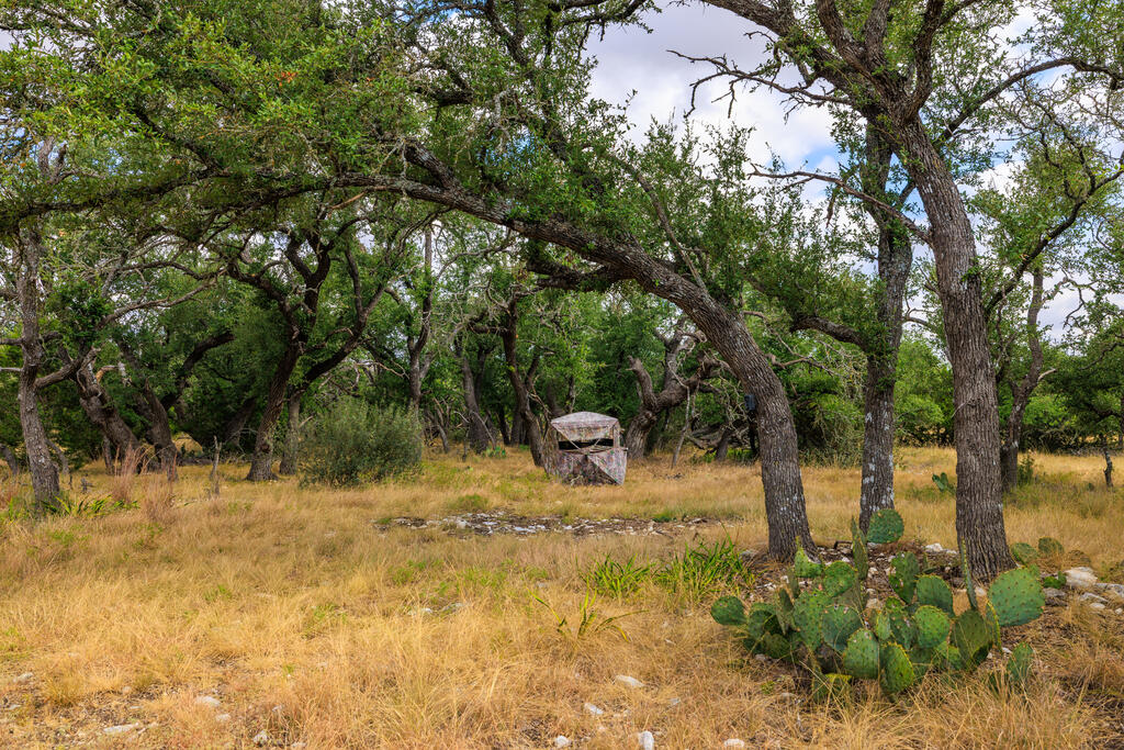 Tract 6 Palomino Oaks Drive Harper TX 78631