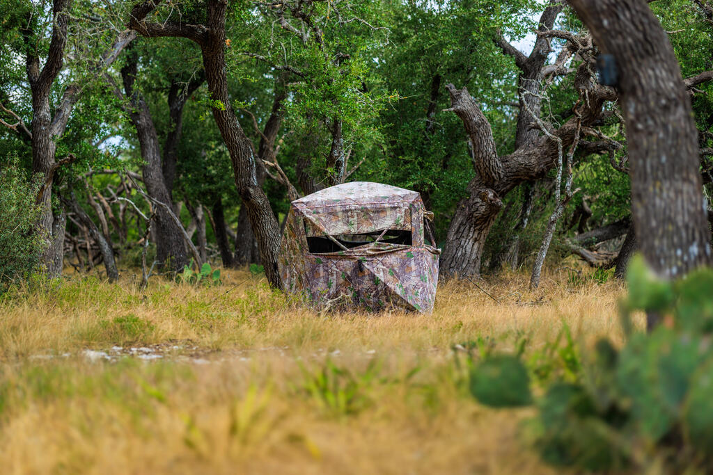 Tract 6 Palomino Oaks Drive Harper TX 78631
