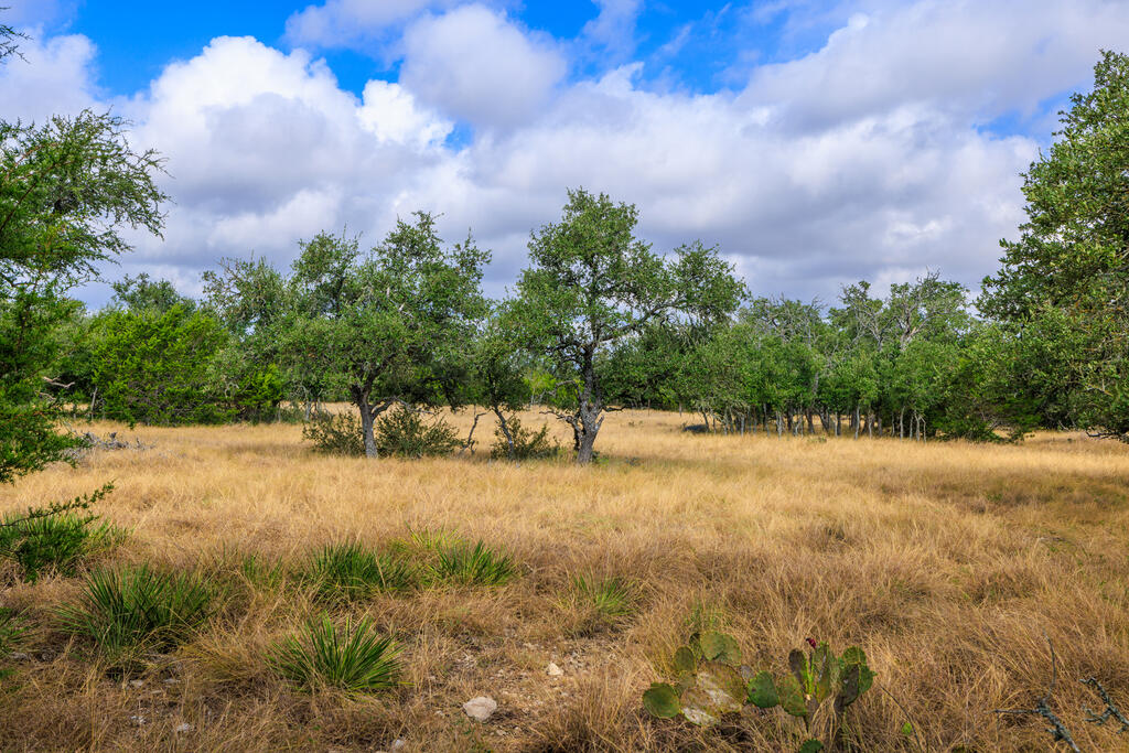 Tract 6 Palomino Oaks Drive Harper TX 78631