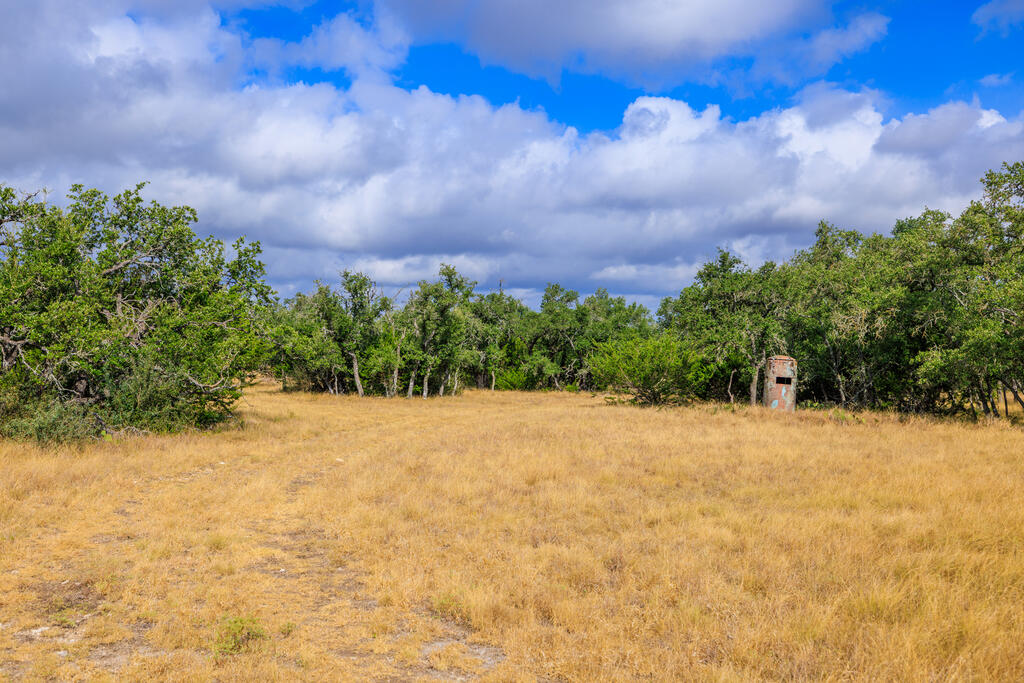 Tract 6 Palomino Oaks Drive Harper TX 78631