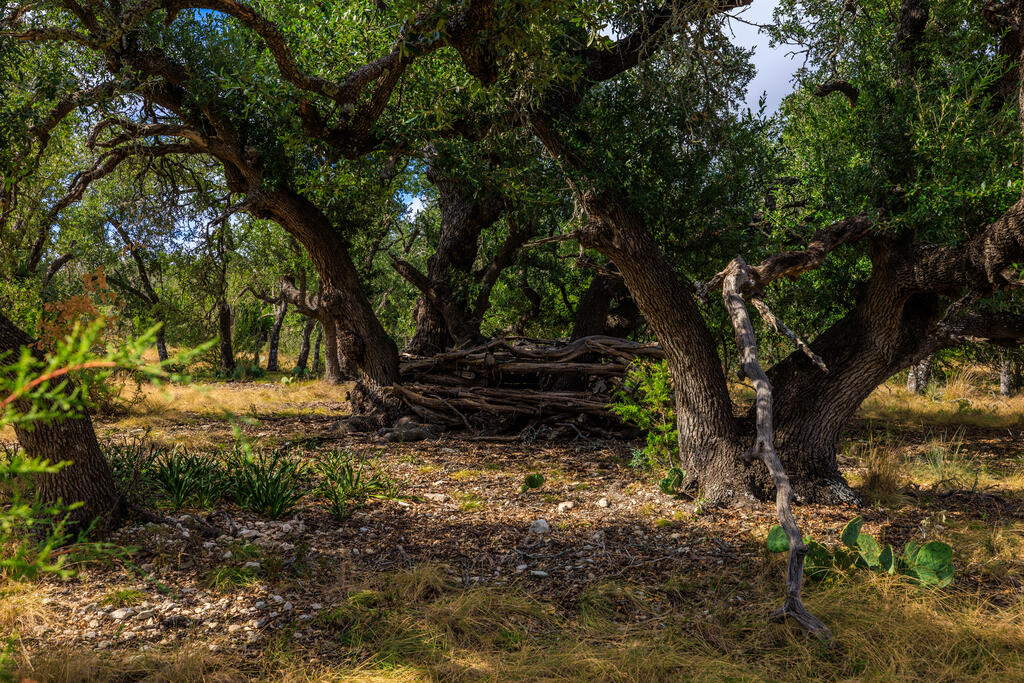 Tract 6 Palomino Oaks Drive Harper TX 78631
