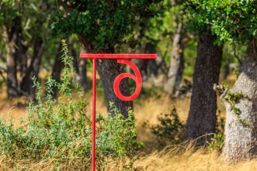 Tract 6 Palomino Oaks Drive Harper TX 78631