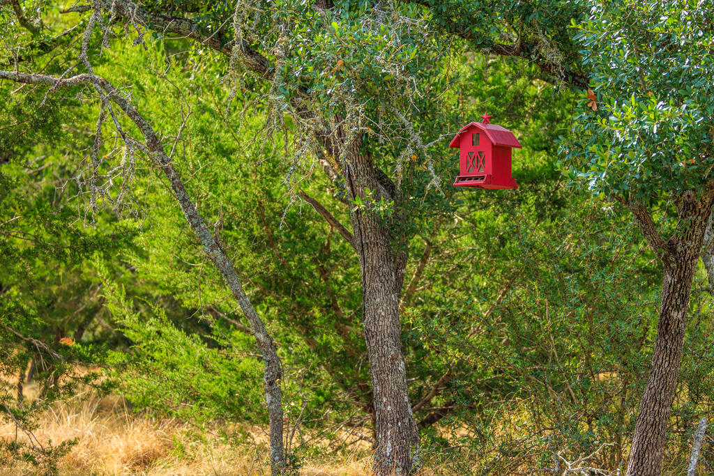 Tract 6 Palomino Oaks Drive Harper TX 78631