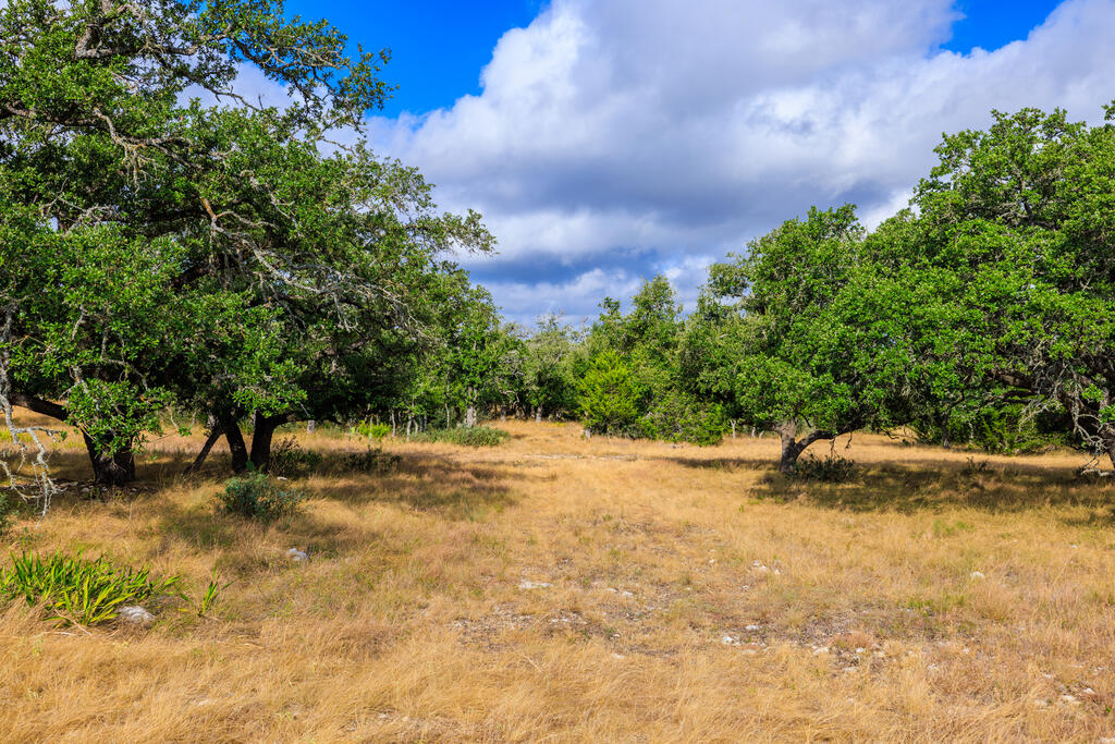 Tract 6 Palomino Oaks Drive Harper TX 78631
