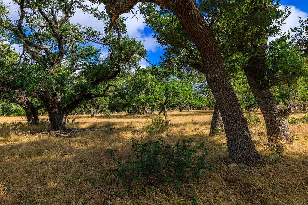 Tract 6 Palomino Oaks Drive Harper TX 78631