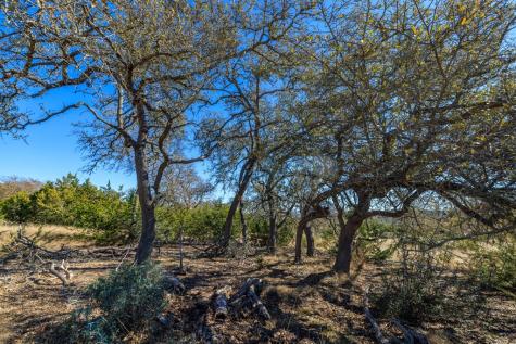 Lot 49 Oakwater Drive Fredericksburg TX 78624