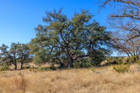 Lot 49 Oakwater Drive Fredericksburg TX 78624