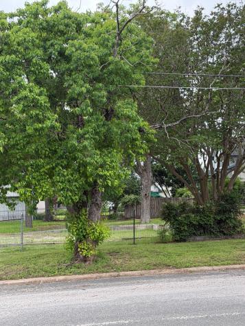 507 W Schubert Street Fredericksburg TX 78624