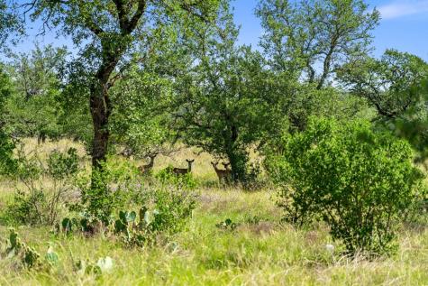 620 Rio Vista Road Johnson City TX 78636