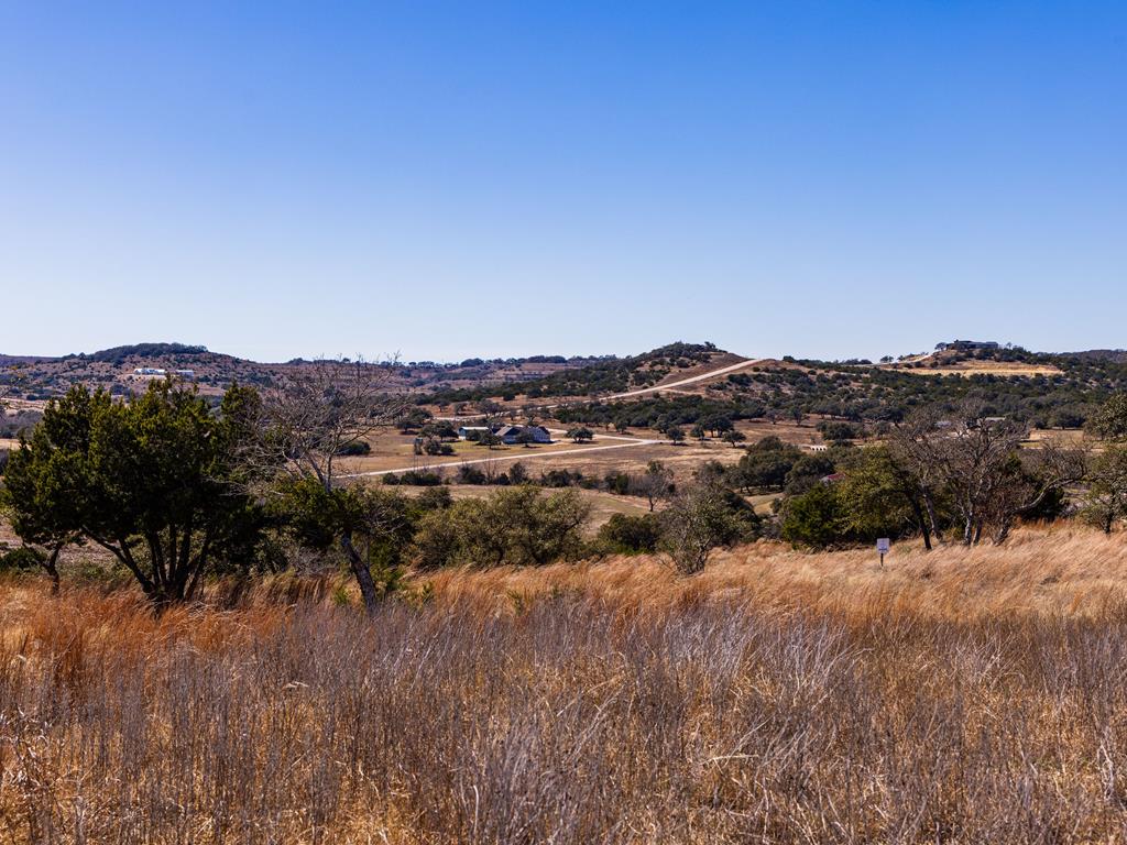 717 N Scenic Hills Court Blanco TX 78606