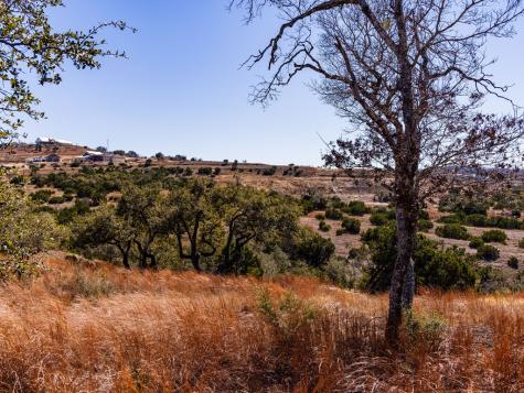 717 N Scenic Hills Court Blanco TX 78606
