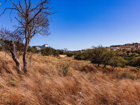 717 N Scenic Hills Court Blanco TX 78606