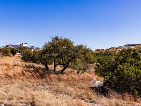 717 N Scenic Hills Court Blanco TX 78606