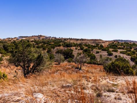 717 N Scenic Hills Court Blanco TX 78606