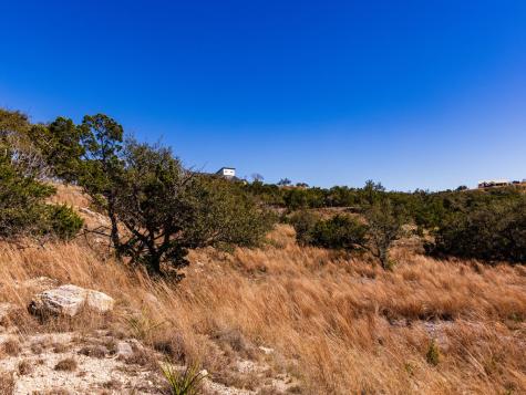 717 N Scenic Hills Court Blanco TX 78606