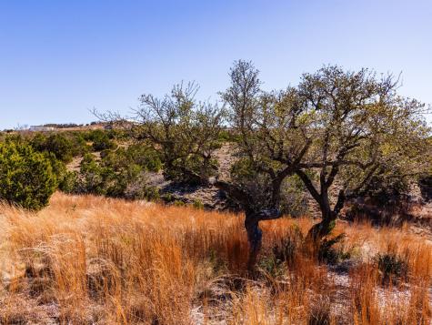 717 N Scenic Hills Court Blanco TX 78606