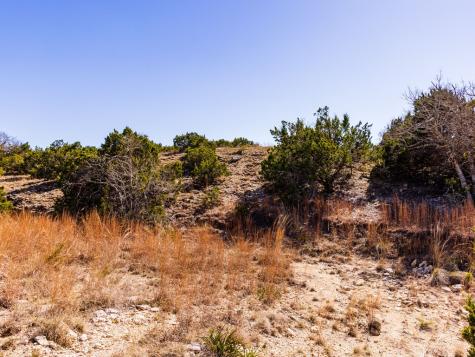 717 N Scenic Hills Court Blanco TX 78606