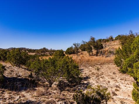 717 N Scenic Hills Court Blanco TX 78606