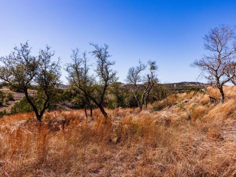 717 N Scenic Hills Court Blanco TX 78606