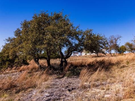 717 N Scenic Hills Court Blanco TX 78606