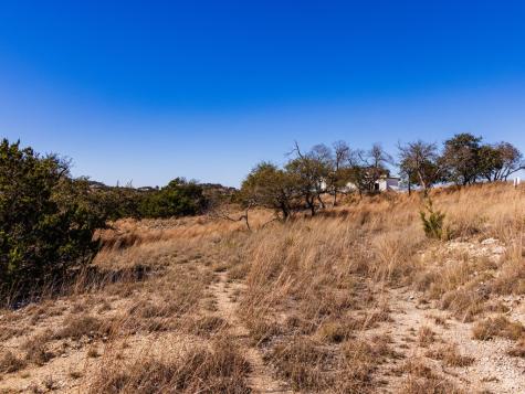 717 N Scenic Hills Court Blanco TX 78606