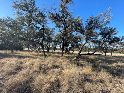 1757 Seven Springs Drive Junction TX 76849