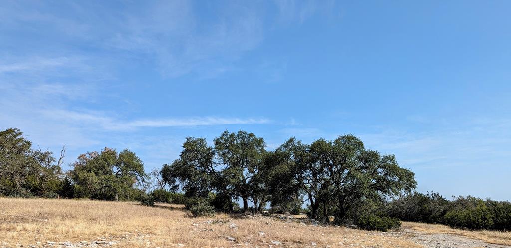Lot 64 Oakwater Drive Fredericksburg TX 78624