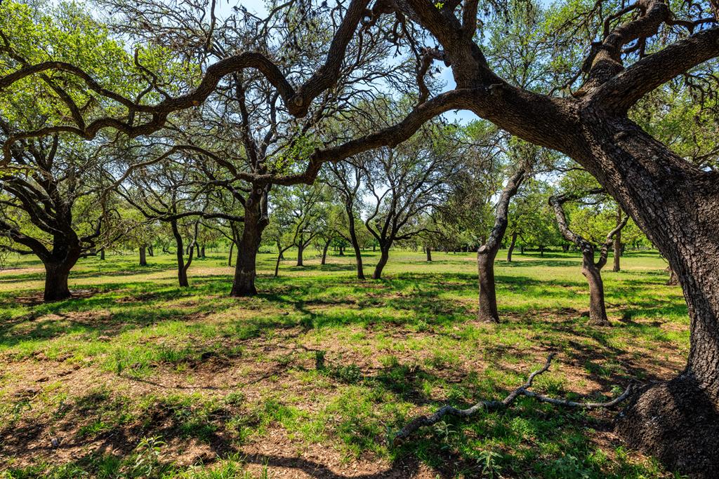 1114 Meadowlark Drive Fredericksburg TX 78624