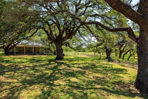 1114 Meadowlark Drive Fredericksburg TX 78624