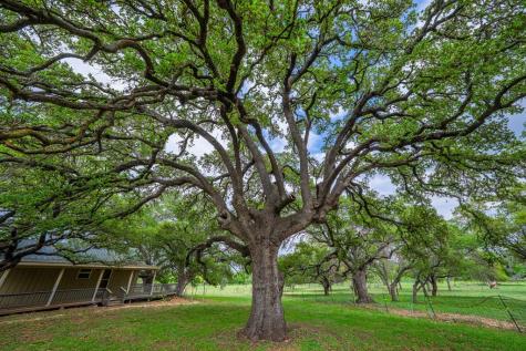 1114 Meadowlark Drive Fredericksburg TX 78624