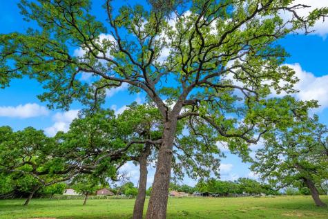 1114 Meadowlark Drive Fredericksburg TX 78624