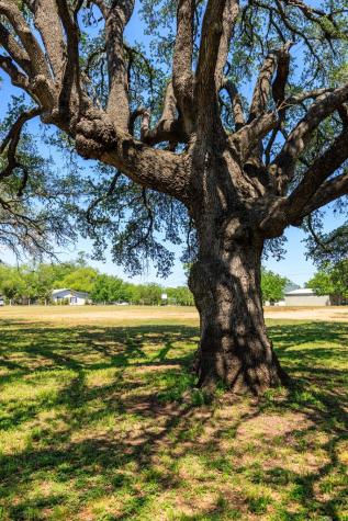 1114 Meadowlark Drive Fredericksburg TX 78624