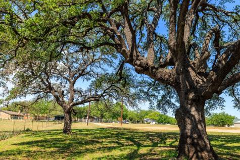 1114 Meadowlark Drive Fredericksburg TX 78624