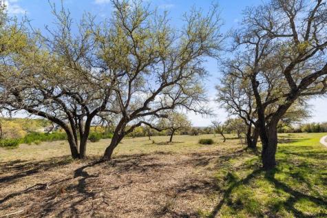 Lot 19 Stone Ridge Mountain Drive Round Mountain TX 78663