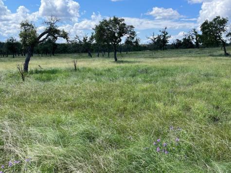 Lot 7 Jung Road Harper TX 78631