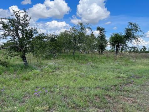 Lot 7 Jung Road Harper TX 78631