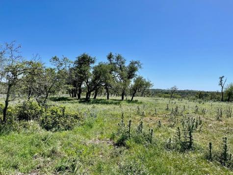 Lot 7 Jung Road Harper TX 78631