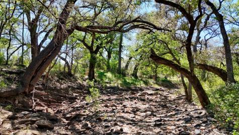 Tract 1 Ranch Road 2233 Sunrise Beach TX 78643